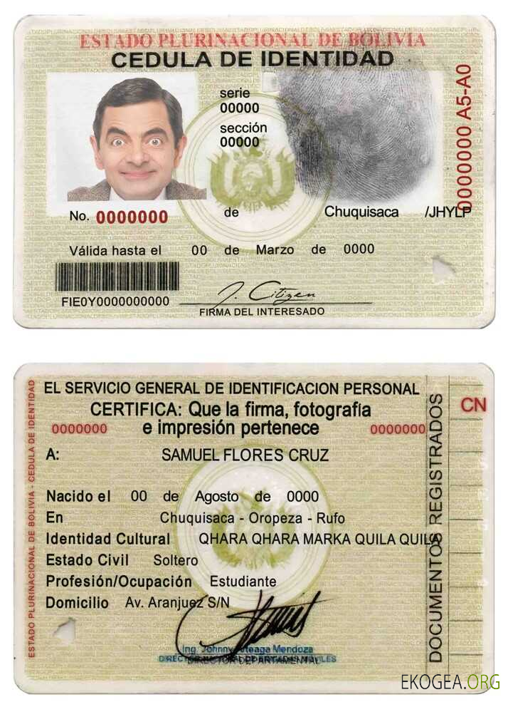 Carte d'identité Bolivie (1)